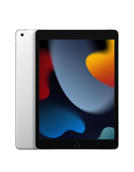 iPad 10.2-inch 256GB (Wi-Fi + Cellular) - Silver